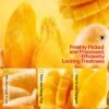 Dried Fruit Snacks, 4 Bags Dried Mango Slices, Sweet Tangy Chewy Mango Fruit Snacks for Office Snacks, Lunch Box, Tea Time, Back to School, Halloween Party Bowls And Christmas Gift Bags