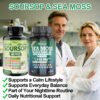 Himiyer 2 Bottles Soursop NAD+ & Sea Moss Daily Balance Capsules for Women & Men - Rhodiola Rosea, Ashwagandha, Shilajit, Berberine - Focus & Immune Health & Body Balance - Daily Gentle Lifestyle
